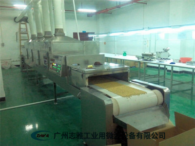 黄豆微波烘烤设备